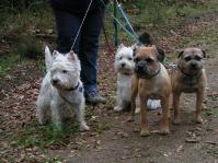 Klik op de foto voor groter formaat